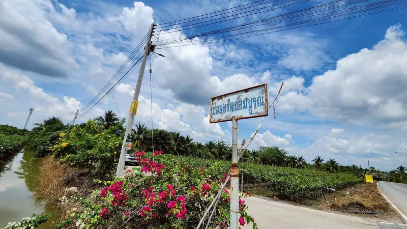 รูปที่2 ต้องการขายที่ดินเปล่า คลองใหม่ สามพราน ราคา 1,500,000 บาท