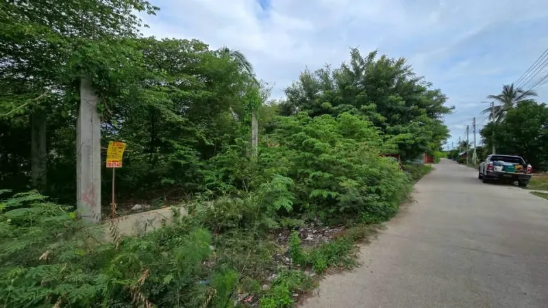 รูปที่3 ต้องการขายที่ดินเปล่า คลองใหม่ สามพราน ราคา 1,500,000 บาท