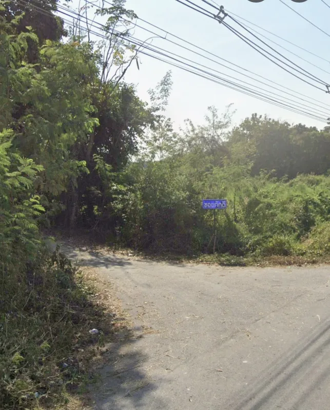 รูปที่3 ต้องการขายที่ดินเปล่า บ้านพริก บ้านนา ราคา 669,000 บาท