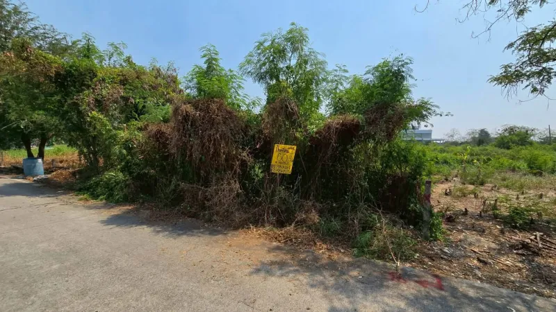 รูปที่2 ต้องการขายที่ดินเปล่า คลองหก คลองหลวง ราคา 790,000 บาท