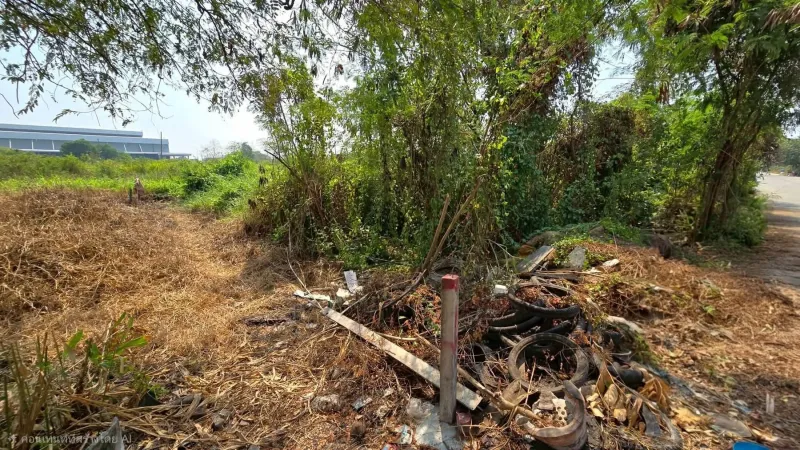 รูปที่3 ต้องการขายที่ดินเปล่า คลองหก คลองหลวง ราคา 790,000 บาท
