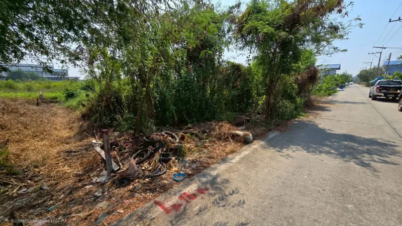 รูปที่5 ต้องการขายที่ดินเปล่า คลองหก คลองหลวง ราคา 790,000 บาท