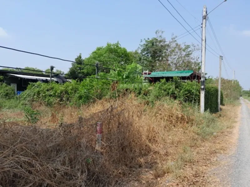 รูปที่3 ต้องการขายที่ดินเปล่า คลองห้า คลองหลวง ราคา 1,100,000 บาท