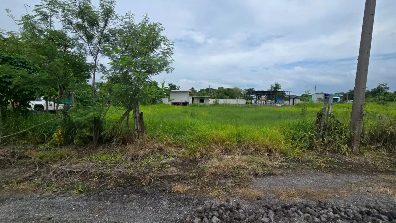 ขายด่วนที่ดิน 300 ตรว ติดถนนสาธารณะ 2 ด้าน ซ.บุญไพศาล1 คลอง 9 หนองเสือ ปทุมธานี