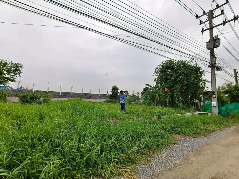 รูปที่3 ต้องการขายที่ดินเปล่า คลองสอง คลองหลวง ราคา 950,000 บาท