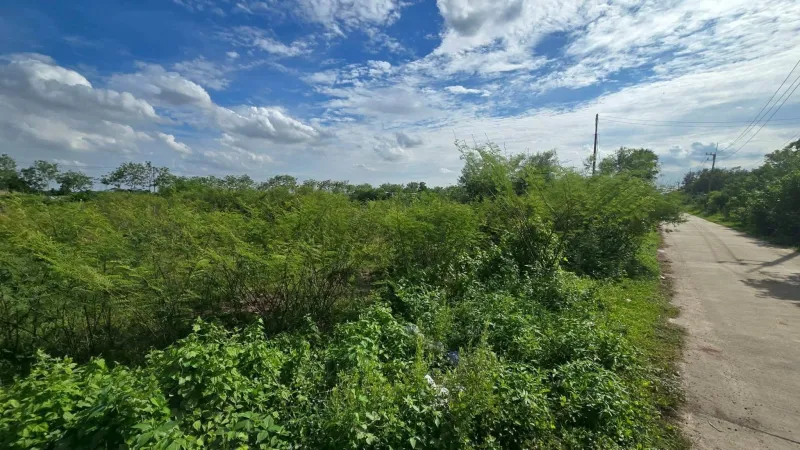 รูปที่2 ต้องการขายที่ดินเปล่า คลองสาม คลองหลวง ราคา 6,900,000 บาท