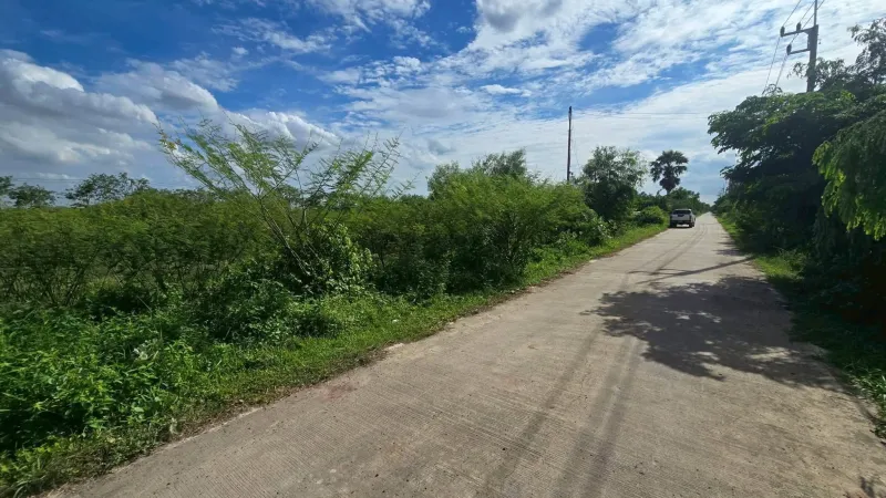 รูปที่3 ต้องการขายที่ดินเปล่า คลองสาม คลองหลวง ราคา 6,900,000 บาท