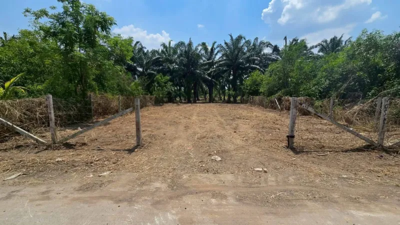 รูปที่2 ต้องการขายที่ดินเปล่า บึงกาสาม หนองเสือ ราคา 890,000 บาท