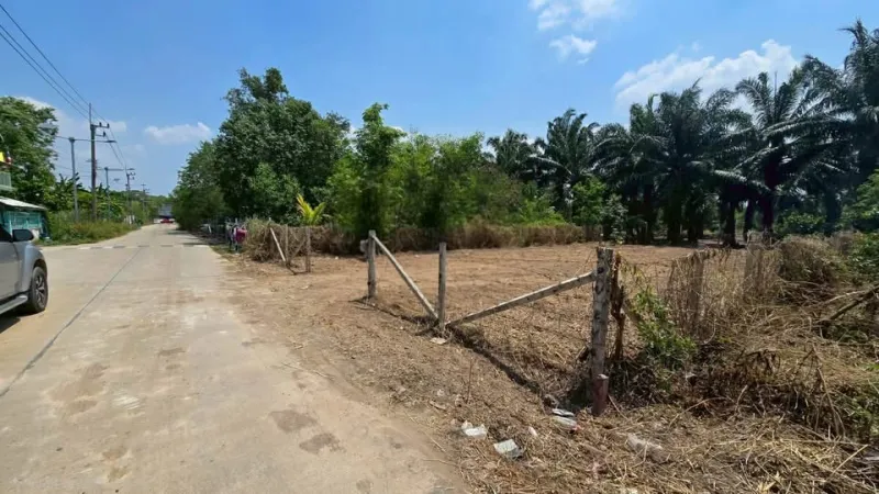 รูปที่3 ต้องการขายที่ดินเปล่า บึงกาสาม หนองเสือ ราคา 890,000 บาท