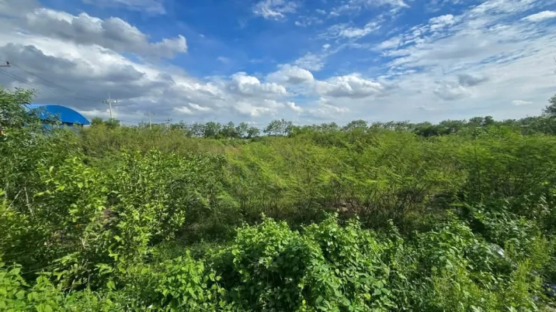 รูปที่2 ต้องการขายที่ดินเปล่า คลองสาม คลองหลวง ราคา 6,900,000 บาท