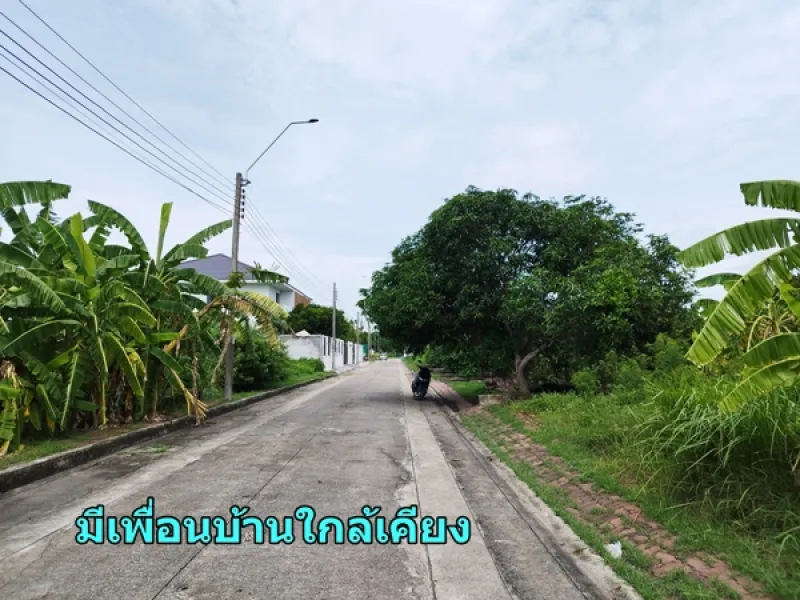 รูปที่2 ต้องการขายที่ดินเปล่า ลำปลาทิว เขตลาดกระบัง ราคา 1,490,000 บาท