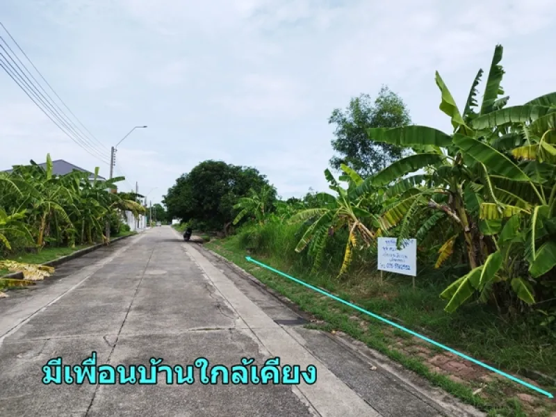 รูปที่3 ต้องการขายที่ดินเปล่า ลำปลาทิว เขตลาดกระบัง ราคา 1,490,000 บาท