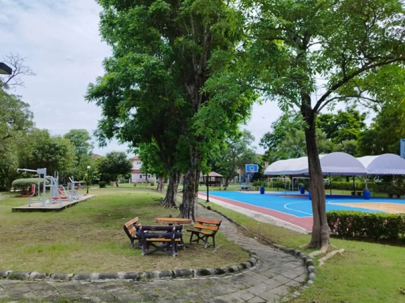 รูปที่7 ต้องการขายที่ดินเปล่า ลำปลาทิว เขตลาดกระบัง ราคา 1,490,000 บาท