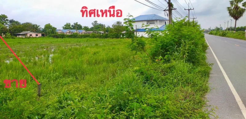 รูปที่3 ต้องการขายบ้านพร้อมที่ดิน ท่าช้าง เมืองนครนายก ราคา 4,000,000 บาท