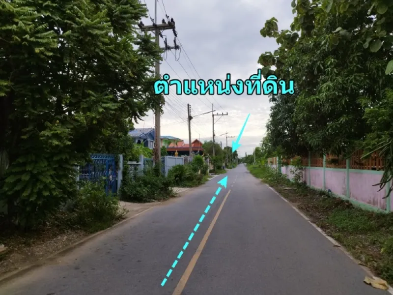 รูปที่8 ต้องการขายที่ดินเปล่า ลำตาเสา วังน้อย ราคา 900,000 บาท