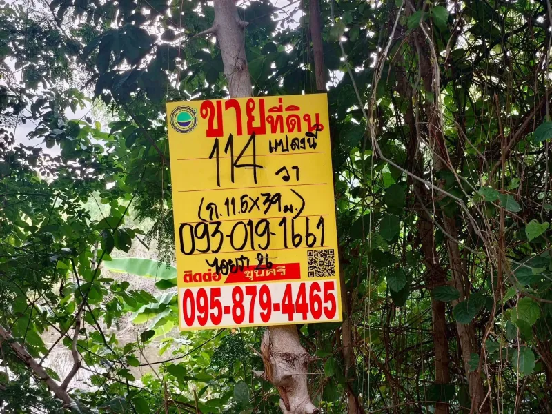 รูปที่2 ต้องการขายที่ดินเปล่า คลองสอง คลองหลวง ราคา 2,800,000 บาท