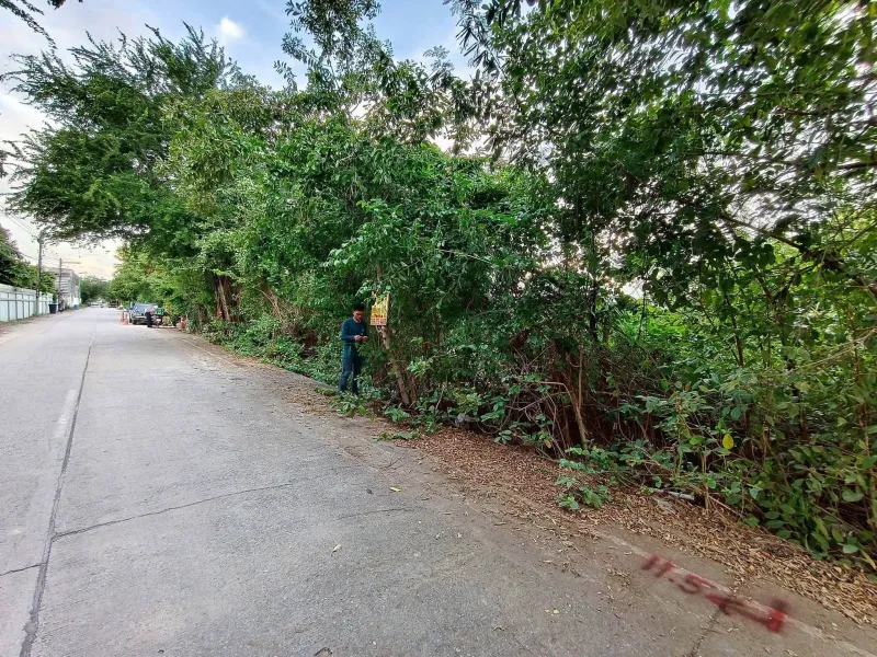 รูปที่4 ต้องการขายที่ดินเปล่า คลองสอง คลองหลวง ราคา 2,800,000 บาท
