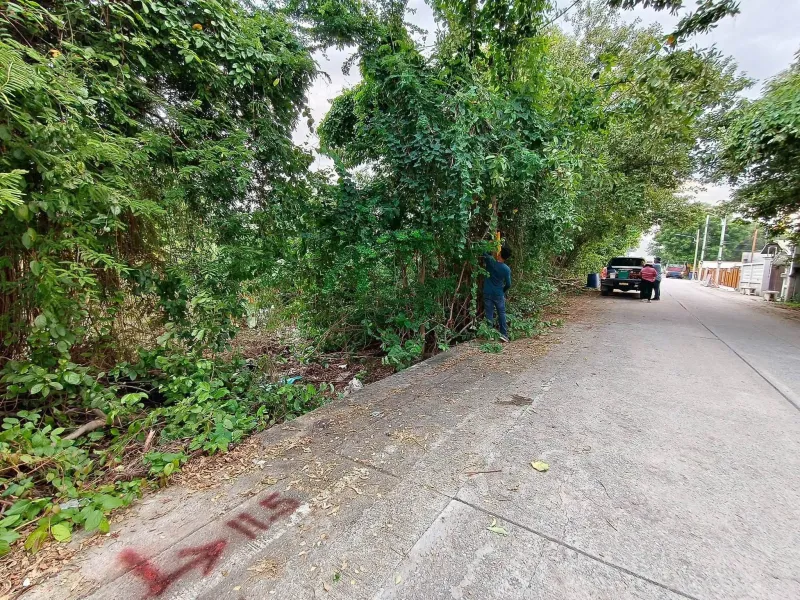 รูปที่5 ต้องการขายที่ดินเปล่า คลองสอง คลองหลวง ราคา 2,800,000 บาท