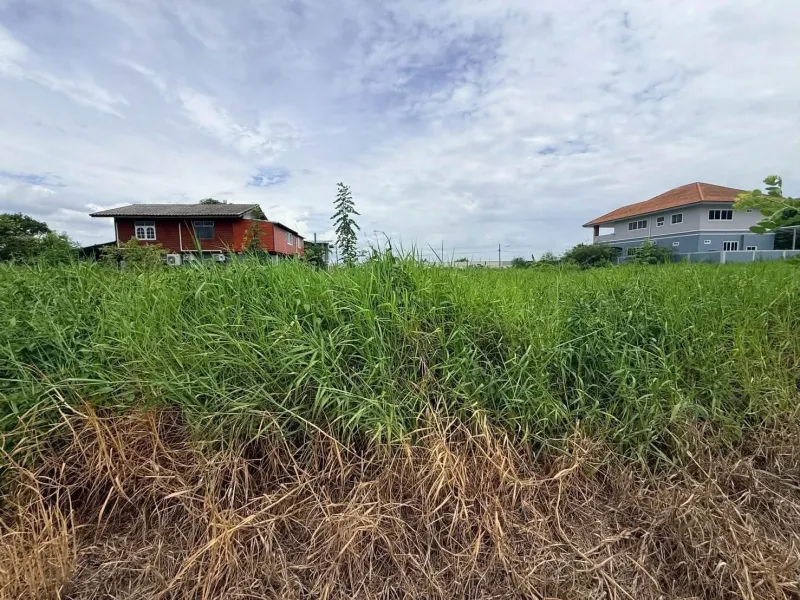 รูปที่5 ต้องการขายที่ดินเปล่า บางคูวัด เมืองปทุมธานี ราคา 780,000 บาท