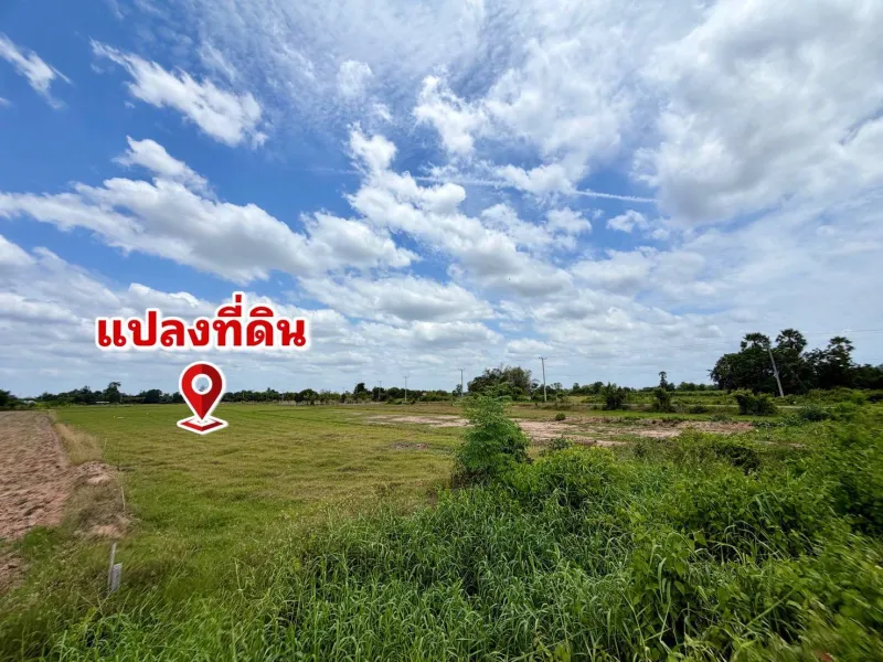 รูปที่4 ต้องการขายที่ดินเปล่า หนองหญ้าไซ หนองหญ้าไซ ราคา 90,000 บาท