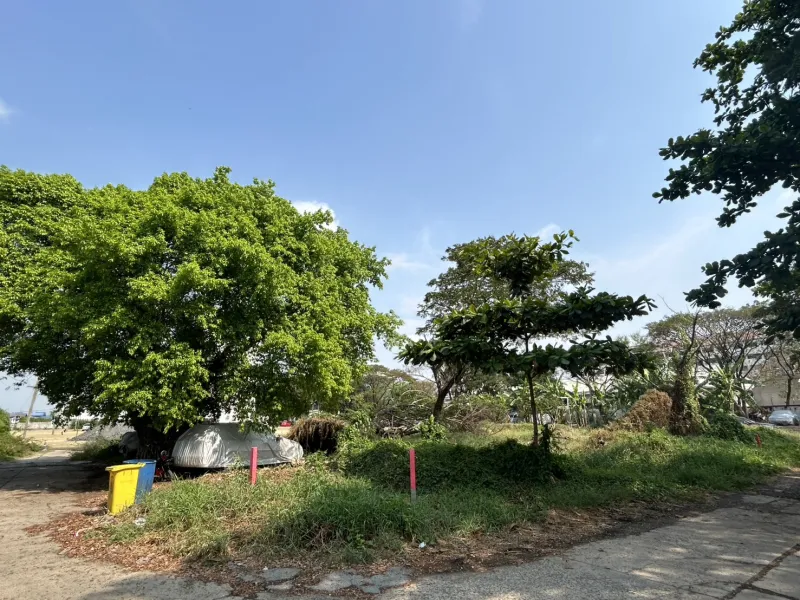 รูปที่2 ต้องการขายที่ดินเปล่า ประเวศ เขตประเวศ ราคา 23,500,000 บาท
