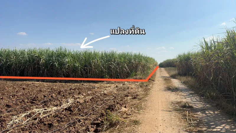 รูปที่4 ต้องการขายที่ดินเปล่า เอราวัณ เอราวัณ ราคา 23,700,000 บาท