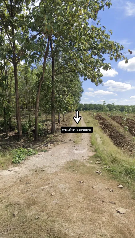 รูปที่3 ต้องการขายที่ดินเปล่า ผาน้อย วังสะพุง ราคา 11,800,000 บาท