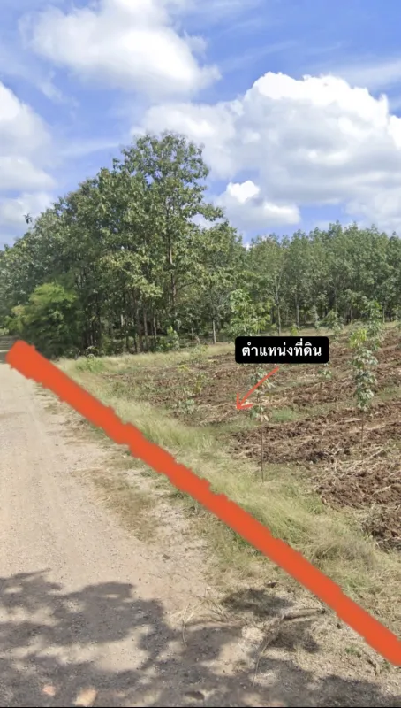 รูปที่4 ต้องการขายที่ดินเปล่า ผาน้อย วังสะพุง ราคา 11,800,000 บาท