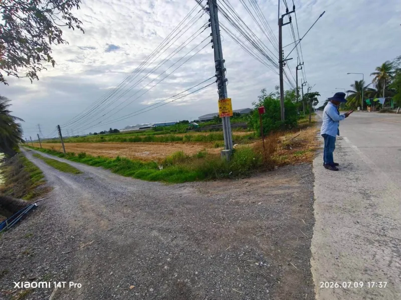 รูปที่6 ต้องการขายที่ดินเปล่า ไทรใหญ่ ไทรน้อย ราคา 4,384,000 บาท