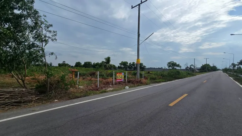 รูปที่2 ต้องการขายที่ดินเปล่า ไผ่หูช้าง บางเลน ราคา 6,500,000 บาท