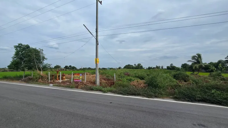 รูปที่3 ต้องการขายที่ดินเปล่า ไผ่หูช้าง บางเลน ราคา 6,500,000 บาท