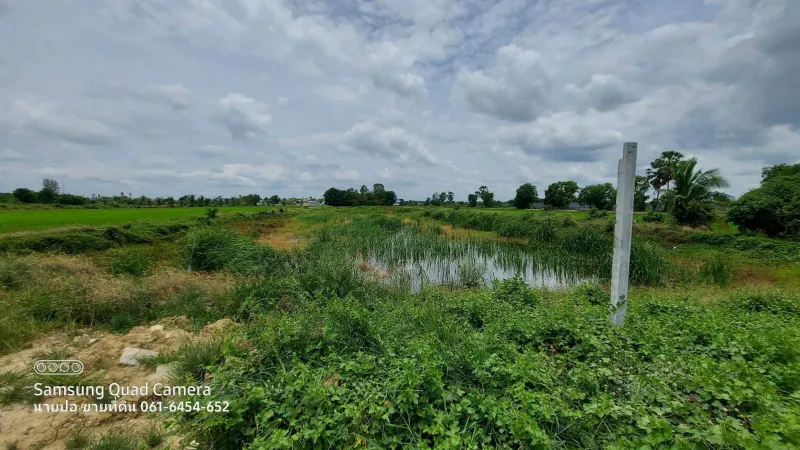 รูปที่5 ต้องการขายที่ดินเปล่า ไผ่หูช้าง บางเลน ราคา 6,500,000 บาท