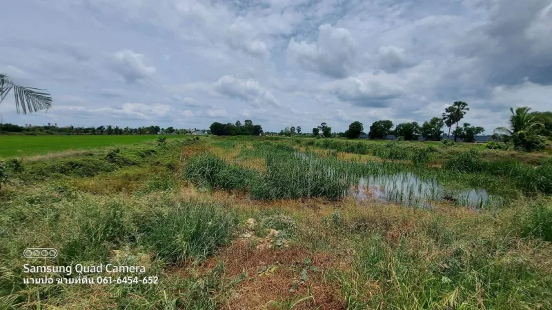 รูปที่6 ต้องการขายที่ดินเปล่า ไผ่หูช้าง บางเลน ราคา 6,500,000 บาท