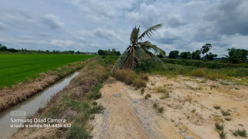 รูปที่7 ต้องการขายที่ดินเปล่า ไผ่หูช้าง บางเลน ราคา 6,500,000 บาท