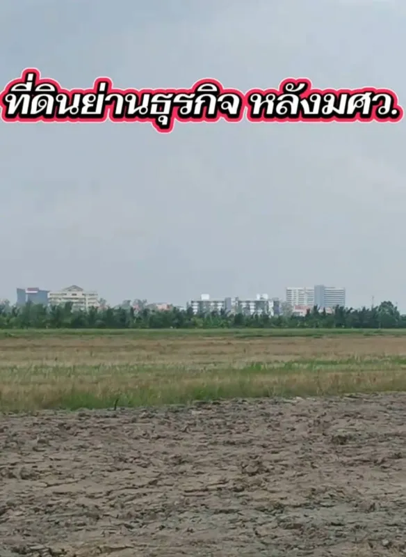 รูปที่3 ต้องการขายที่ดินเปล่า องครักษ์ องครักษ์ ราคา 650,000 บาท