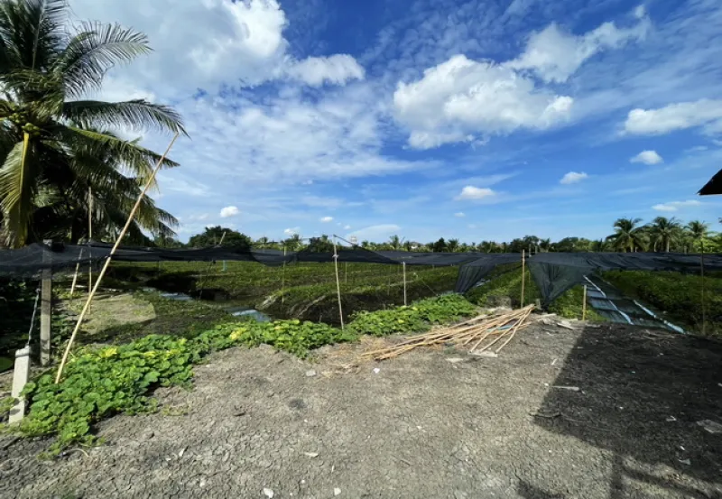 รูปที่7 ต้องการขายที่ดินเปล่า สามพราน สามพราน ราคา 10,000,000 บาท