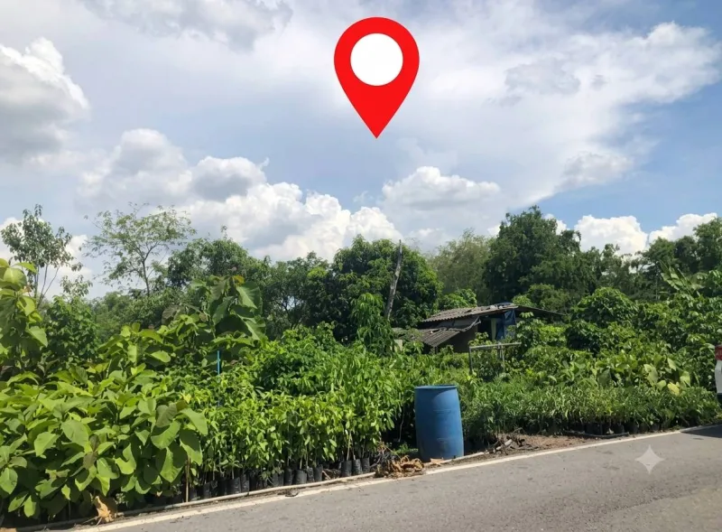 ที่ดินติดถนน-ติดคลอง ทำเลดี ใกล้ชุมชน เจ้าของขายเอง (โฉนดพร้อมโอน)