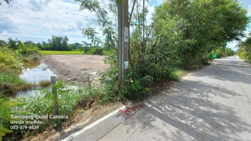 ขายด่วนที่ดินใกล้รร.บ้านคลองฝรั่ง 200 ตรว ติดถนนสาธารณะ ถมแล้ว ไทรน้อย นนทบุรี
