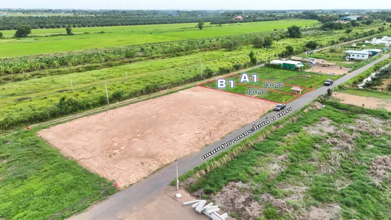 รูปที่3 ต้องการขายที่ดินเปล่า บึงชำอ้อ หนองเสือ ราคา 390,000 บาท
