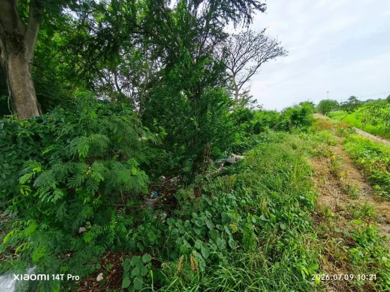 รูปที่4 ต้องการขายที่ดินเปล่า บ้านใหม่ บางใหญ่ ราคา 16,500,000 บาท