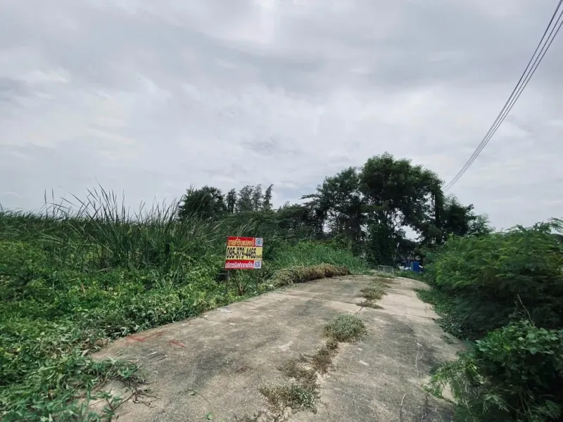 รูปที่2 ต้องการขายที่ดินเปล่า บางแม่นาง บางใหญ่ ราคา 1,600,000 บาท