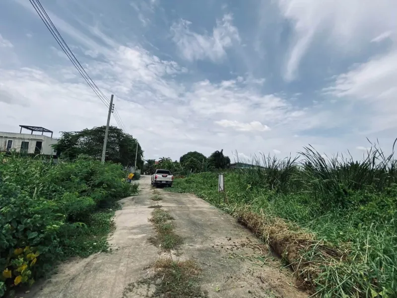 รูปที่6 ต้องการขายที่ดินเปล่า บางแม่นาง บางใหญ่ ราคา 1,600,000 บาท