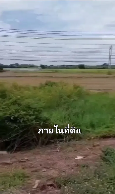 รูปที่4 ต้องการขายบ้านพร้อมที่ดิน จรเข้ร้อง ไชโย ราคา 70,000,000 บาท