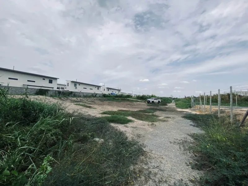 รูปที่3 ต้องการขายที่ดินเปล่า ไทรน้อย ไทรน้อย ราคา 3,890,000 บาท