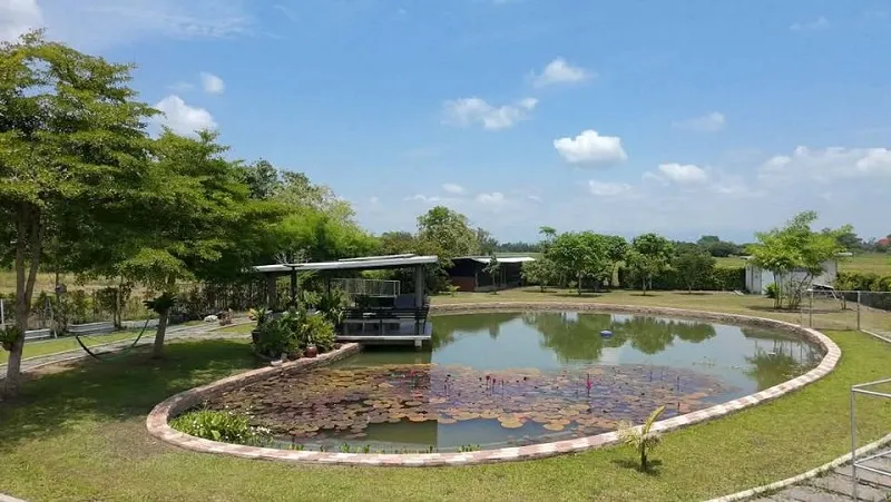 รูปที่5 ต้องการขายบ้านพร้อมที่ดิน ป่าป้อง ดอยสะเก็ด ราคา 20,500,000 บาท