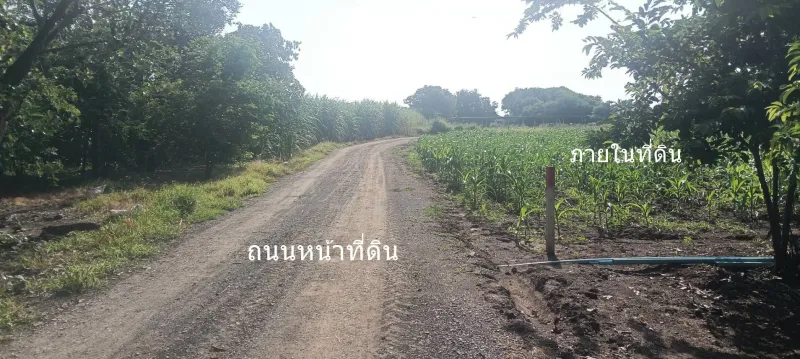 รูปที่3 ต้องการขายที่ดินเปล่า พุคำจาน พระพุทธบาท ราคา 2,400,000 บาท