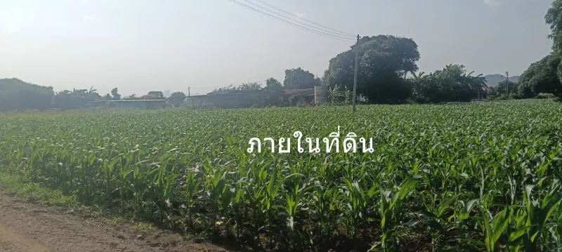 รูปที่4 ต้องการขายที่ดินเปล่า พุคำจาน พระพุทธบาท ราคา 2,400,000 บาท