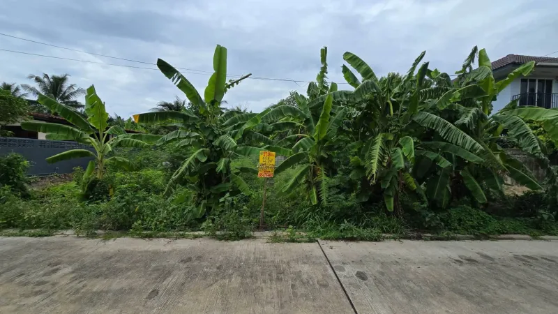 ขายด่วนที่ดินใกล้เซ็นทรัลศาลายา 121 ตรว ติดถนนสาธารณะ หมู่บ้านกวินทิพย์ สามพราน นครปฐม