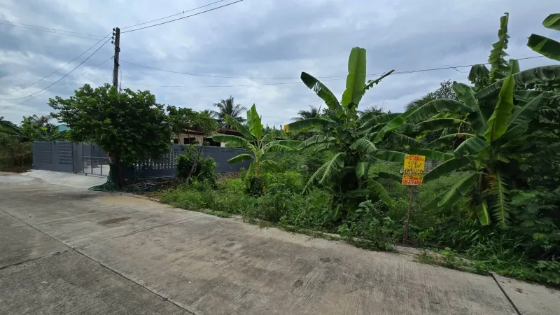 รูปที่2 ต้องการขายที่ดินเปล่า บางเตย สามพราน ราคา 2,400,000 บาท