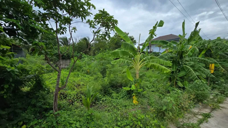 รูปที่3 ต้องการขายที่ดินเปล่า บางเตย สามพราน ราคา 2,400,000 บาท